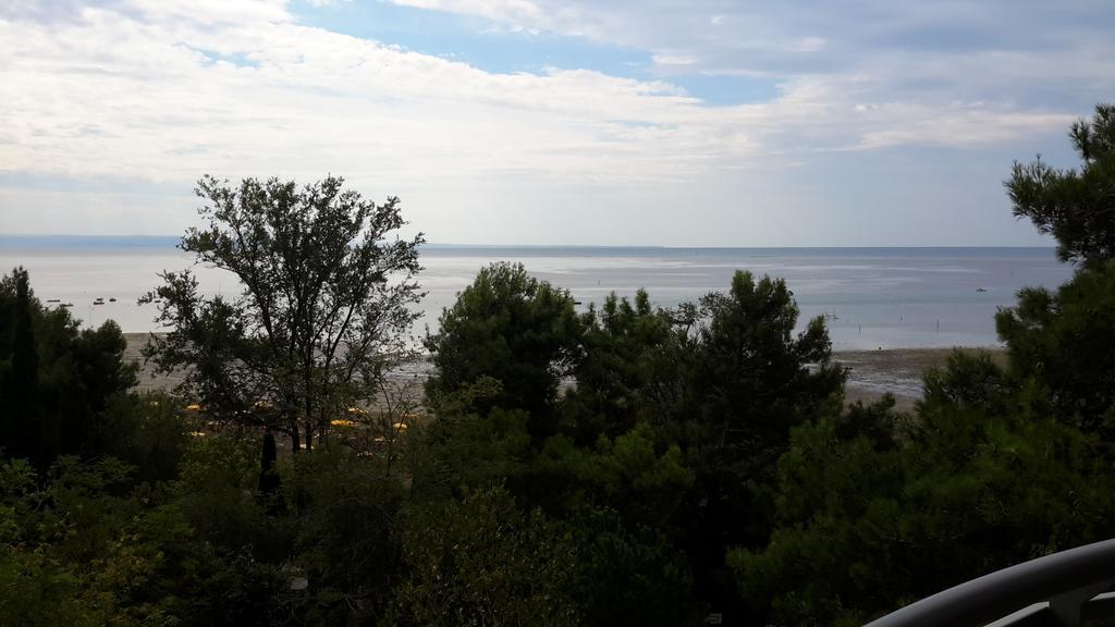 One-Bedroom Apartment Sea View,217258928:JPEG